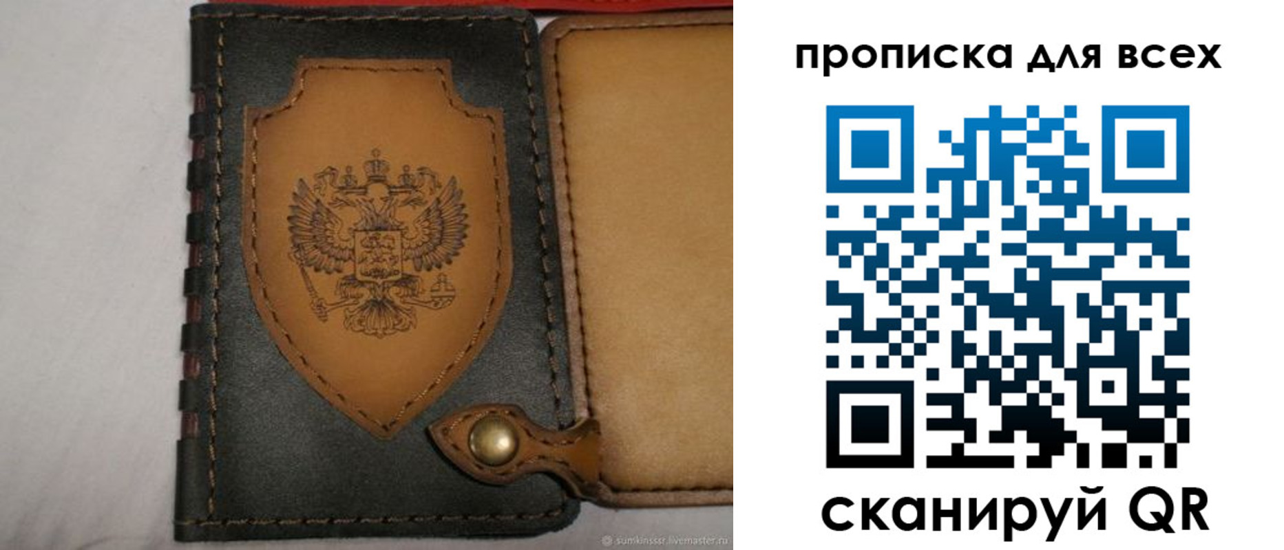 прописка для школы в Пугачёве